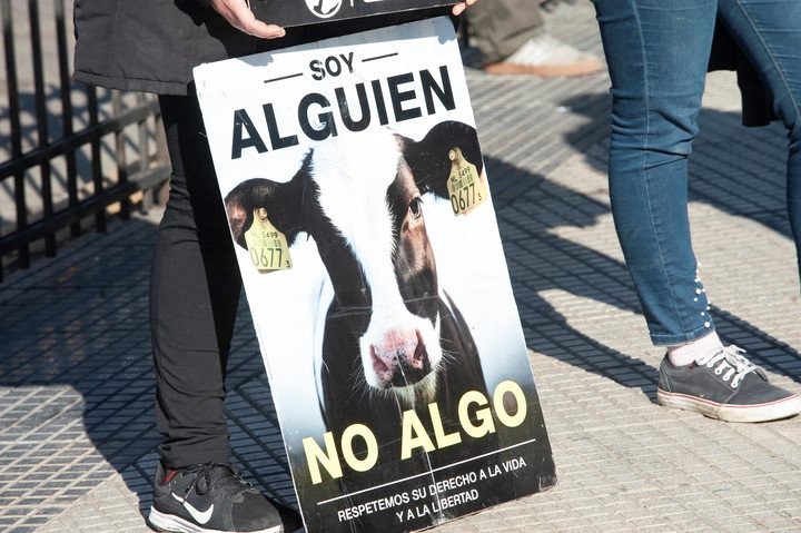 Activistas veganos protestaron en la Sociedad Rural: "Queremos que vean el sufrimiento de los animales"