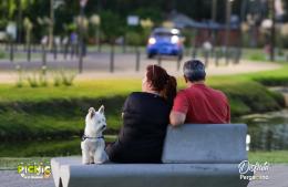 “Picnic en el Parque Belgrano”, una propuesta que convocó a miles de vecinos