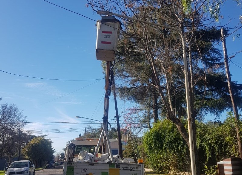 Cuadrilla en plena labor.