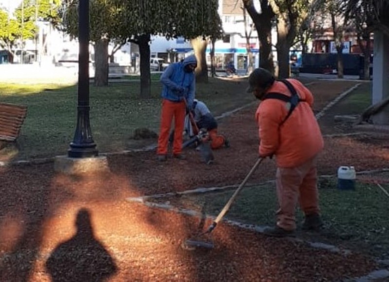 Limpieza y conservación de caminos en la 9 de Julio.