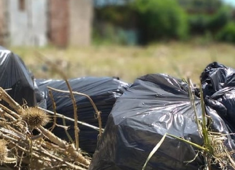 Bolsas de no más de 10 kilos cada una.