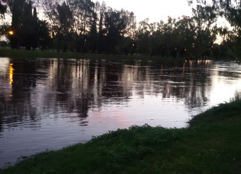 Arroyo contaminado.