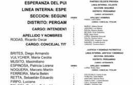 Una nueva eleccion llega a la ciudad: ¿Sabés cuáles son las 17 listas?