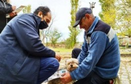 El Puesto de Vacunación antirrábica se instala en el Barrio José Hernández