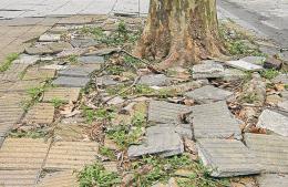 Buscan avanzar con el plan “veredas seguras” para mejorar la circulación peatonal