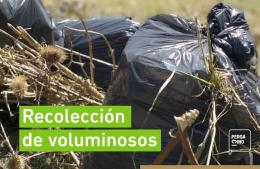 Comenzó la recolección de voluminosos de febrero