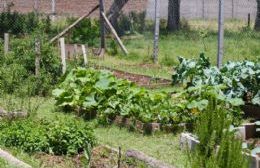 Cabaña Joven cerró un fructífero 2017