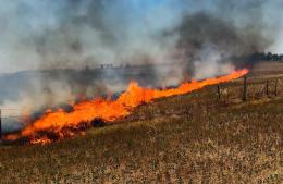 Los reiterados incendios forestales generan intensa actividad de los bomberos