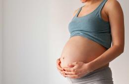 “Necesitamos que los niños de 6 meses a 2 años y las embarazadas se apliquen la vacuna antigripal”