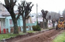 Avanza la obra de cordón cuneta en Guerrico