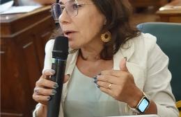 Primera vivienda: cuestionan el impacto fiscal del proyecto para eximir tasas en Pergamino
