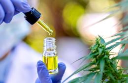Nuevo taller de autocultivo y armado de extractos de cannabis terapéutico