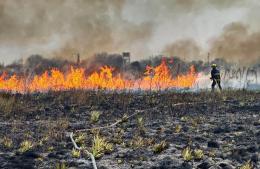 Otra vez un incendio forestal llevó horas en ser controlado