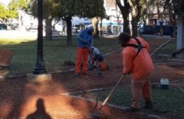 Continúan las tareas de mantenimiento en las plazas de la ciudad