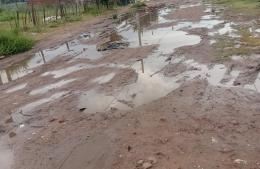 Vecinos del barrio Jorge Newbery reclaman obras y más presencia municipal