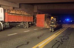 Volcó un camión debajo el puente de la autopista