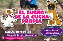 Veterinaria presenta una completa agenda de actividades