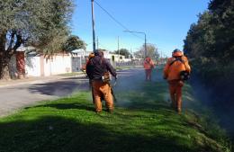 Mantenimiento de banquinas y espacios verdes