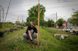 Se plantaron 100 árboles nativos