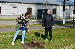 Nuevos árboles para la plaza del pueblo de Acevedo