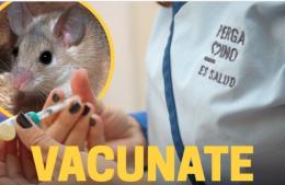Vacunación gratuita contra la Fiebre Hemorrágica Argentina