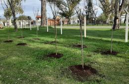 Pergamino cierra el 2024 con importantes avances en sustentabilidad y compromiso ambiental