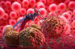 Jornada de actualización sobre fiebre hemorrágica argentina y dengue
