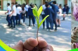 Hoy celebramos la Educación Ambiental